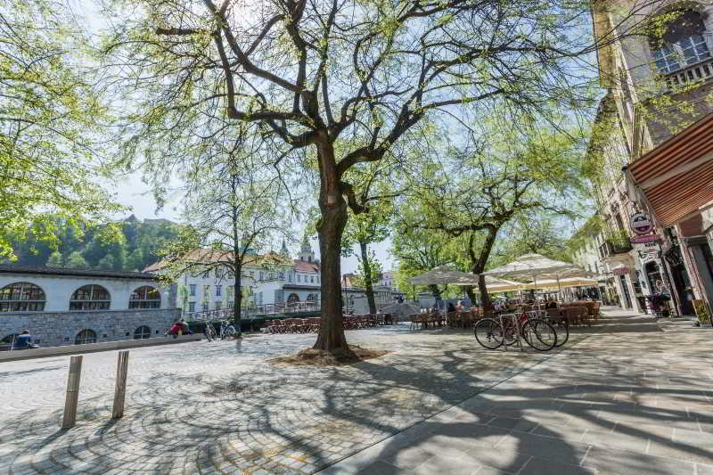 Old Town Apartments Ljubljana Eksteriør billede